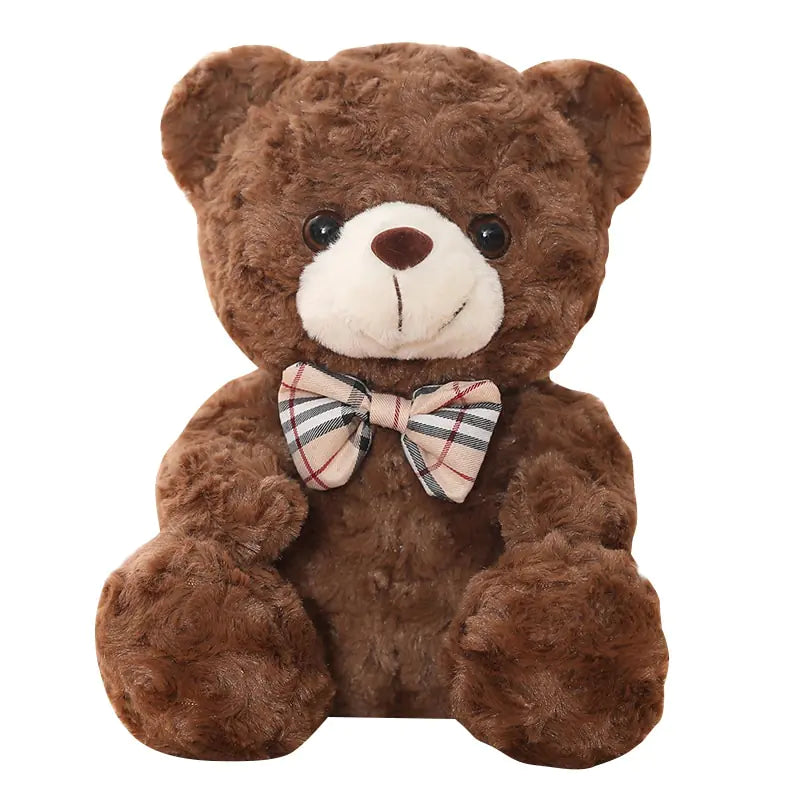 Little Teddy Bear Plush Toy