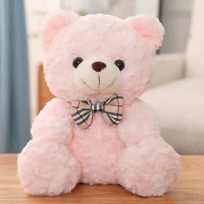 Little Teddy Bear Plush Toy