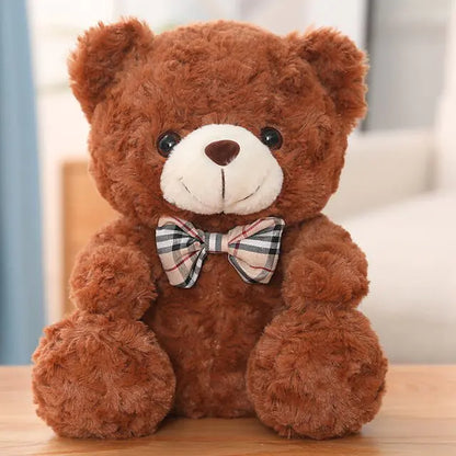 Little Teddy Bear Plush Toy