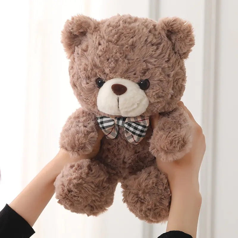 Little Teddy Bear Plush Toy