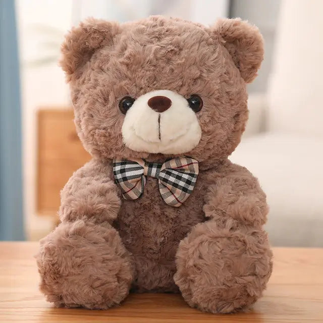 Little Teddy Bear Plush Toy