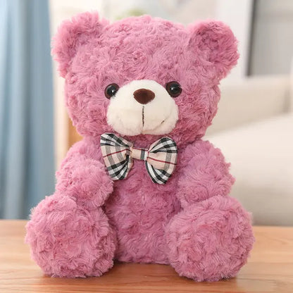 Little Teddy Bear Plush Toy