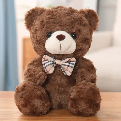 Little Teddy Bear Plush Toy